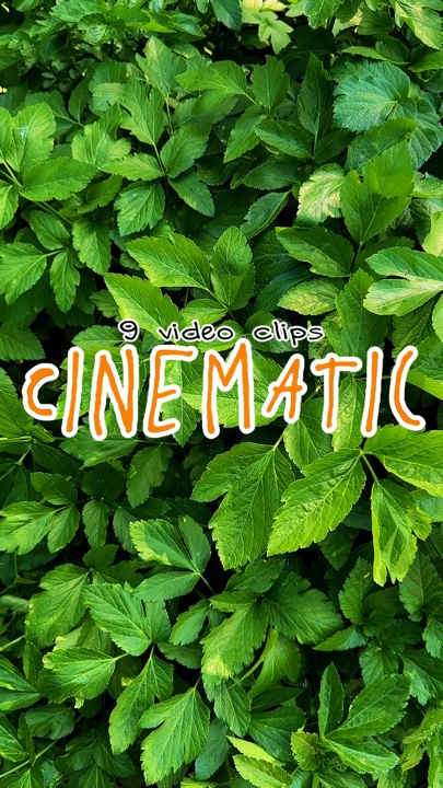 Vídeo cinematográfico 9