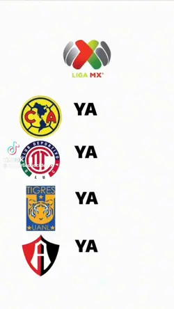 Fútbol Mexicano