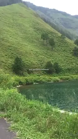 pov:you live in Indo