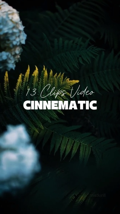 13 Vídeos Cinematográficos 
