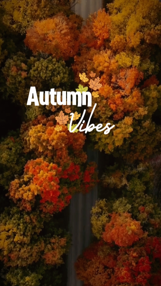 Autumn Vibes