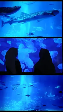 aquarium