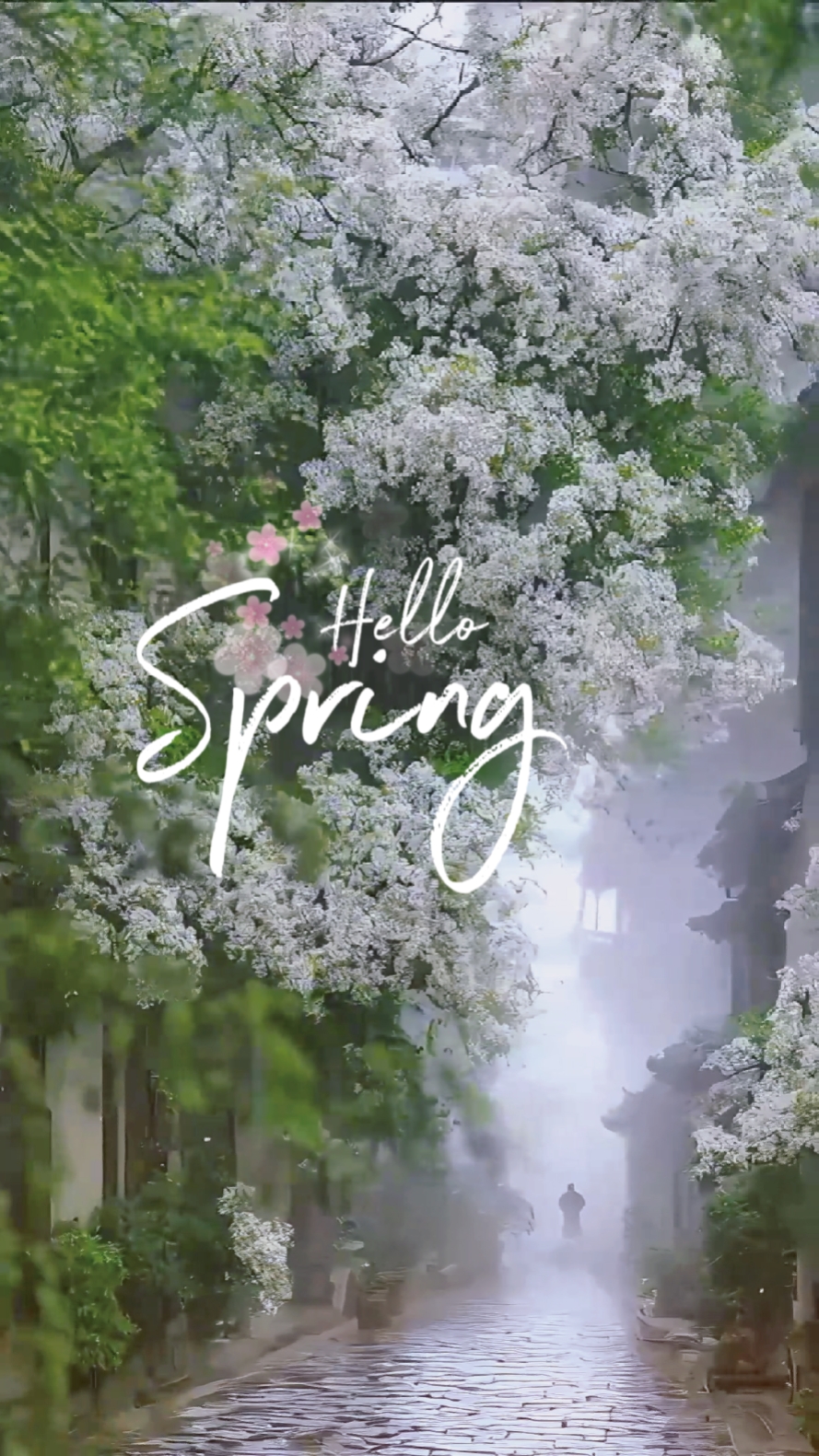 SPRING NATURE SOUND