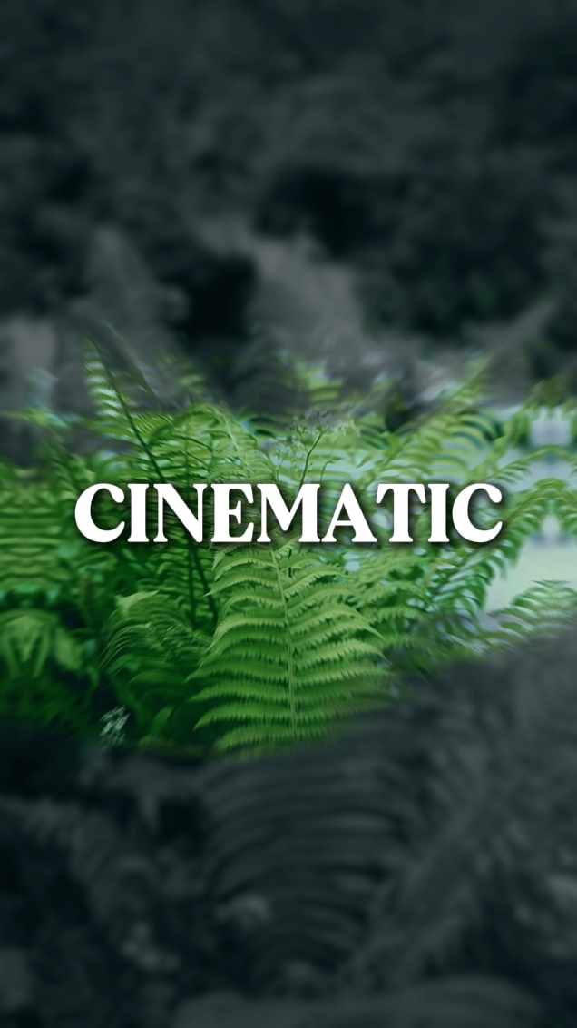 8 clips cinematic 