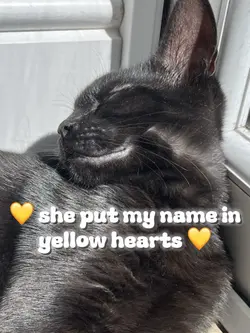 yellow hearts 💛✨