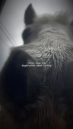 💔💔 | FAKE ⚠️‼️