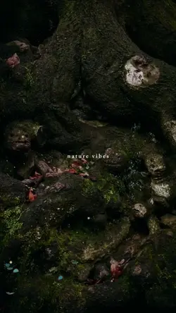 nature vibes
