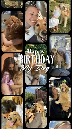 Birthday dog