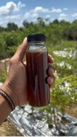 Iklan madu kelulut
