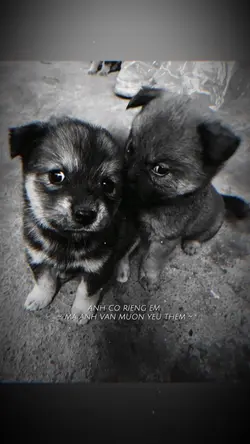 Anh có riêng em mà