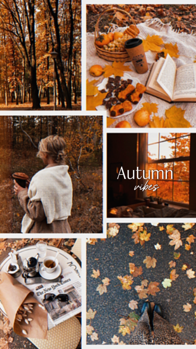 Autumn Vibes 