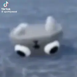 finder crying