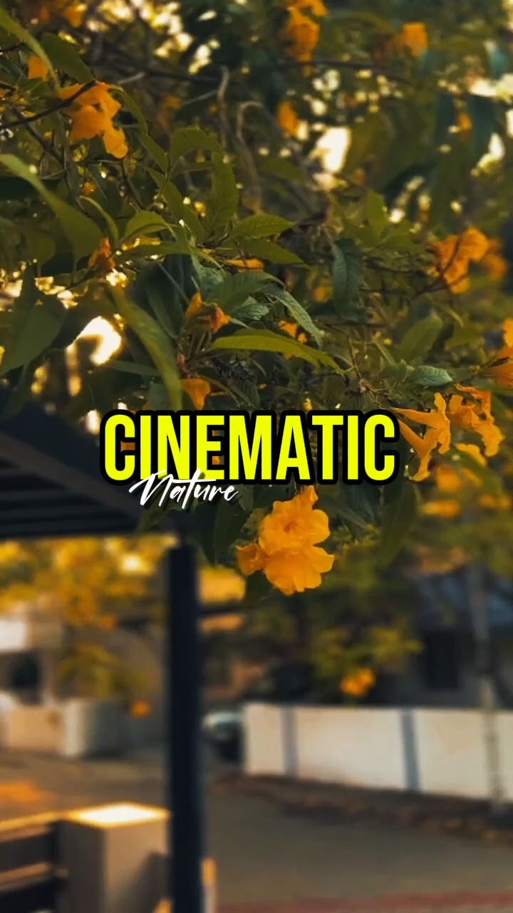 cinematic nature 