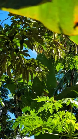 144P To 4K HD