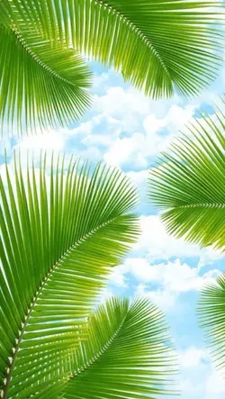 Happy Palm Sunday
