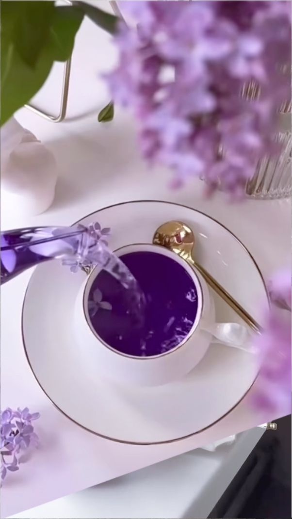 "Violet Vibes"
