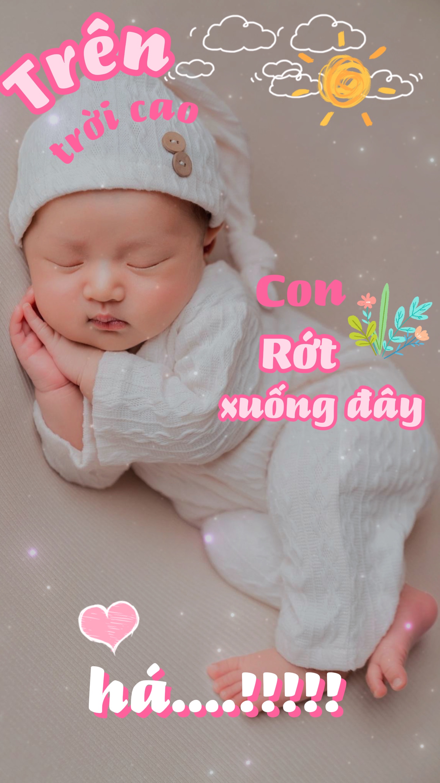 Mẫu 2 ảnh embecute 
