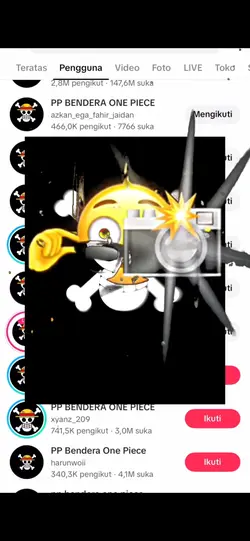 pp bendera one piece