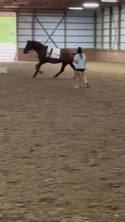 Lunging