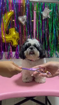 Pet shop tosa