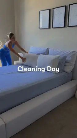 Vlog cleaning 