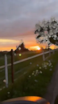 Use My Slowmo Templa