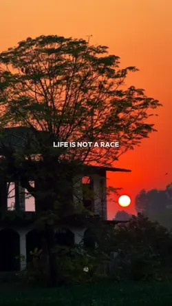 Life is not a race