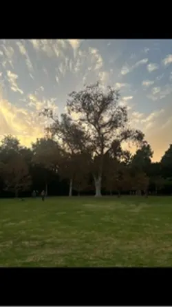 Credits to og creato