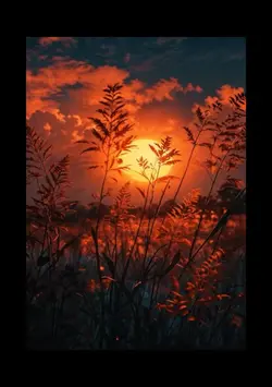 Meadow Sunset 
