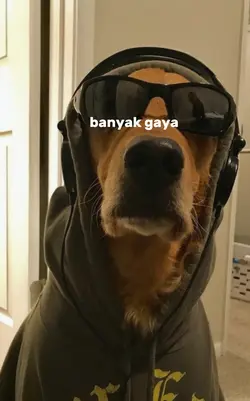 JANGAN BANYAK GAYA 