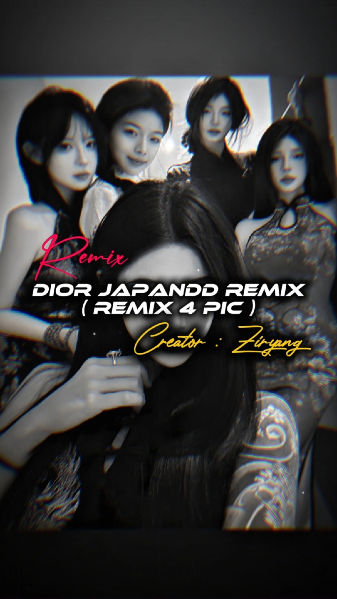 REMIX JAPANDD DIOR 