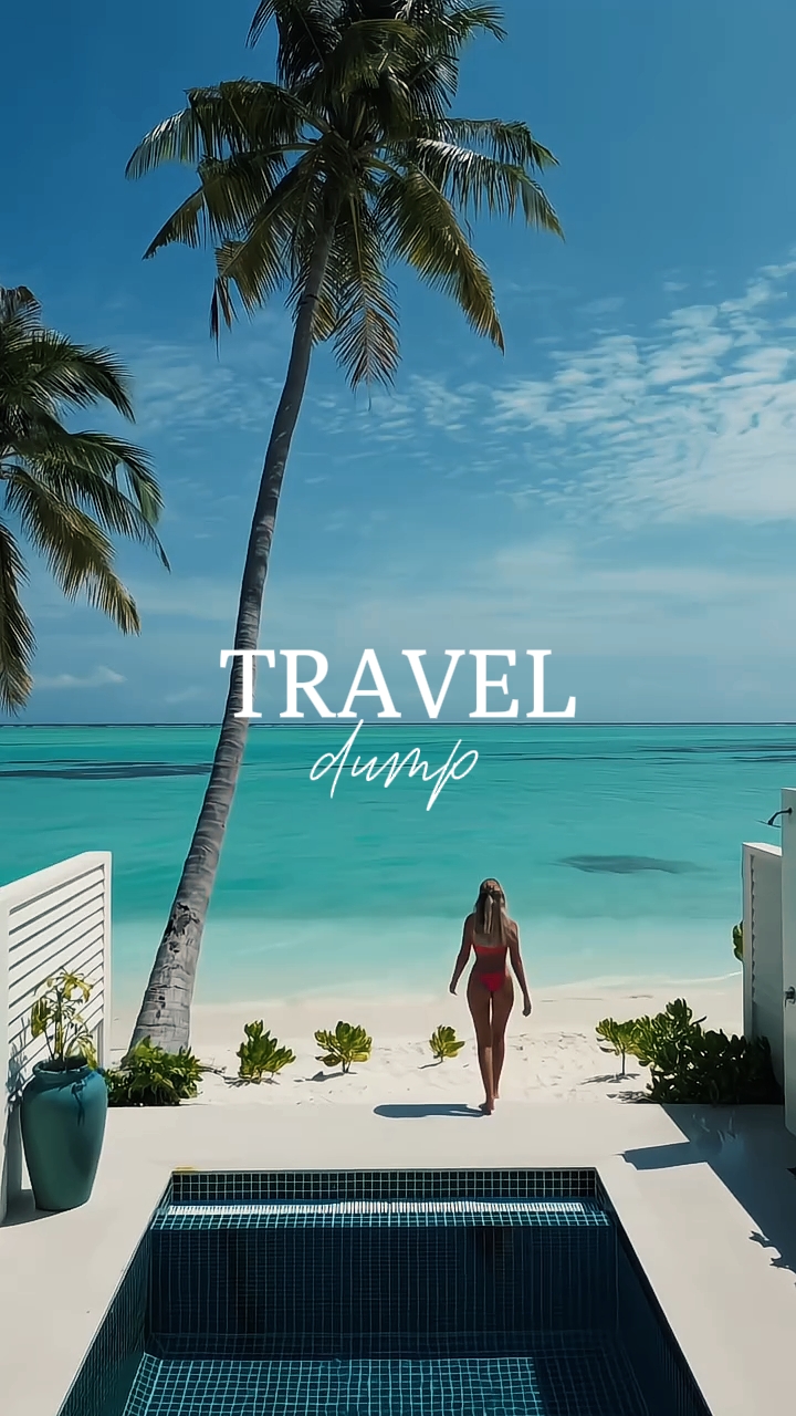 Travel Dump 31 Clips