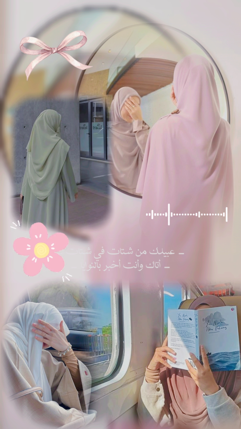 كلمات الأناشيد 
