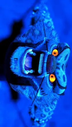 TAI LUNG