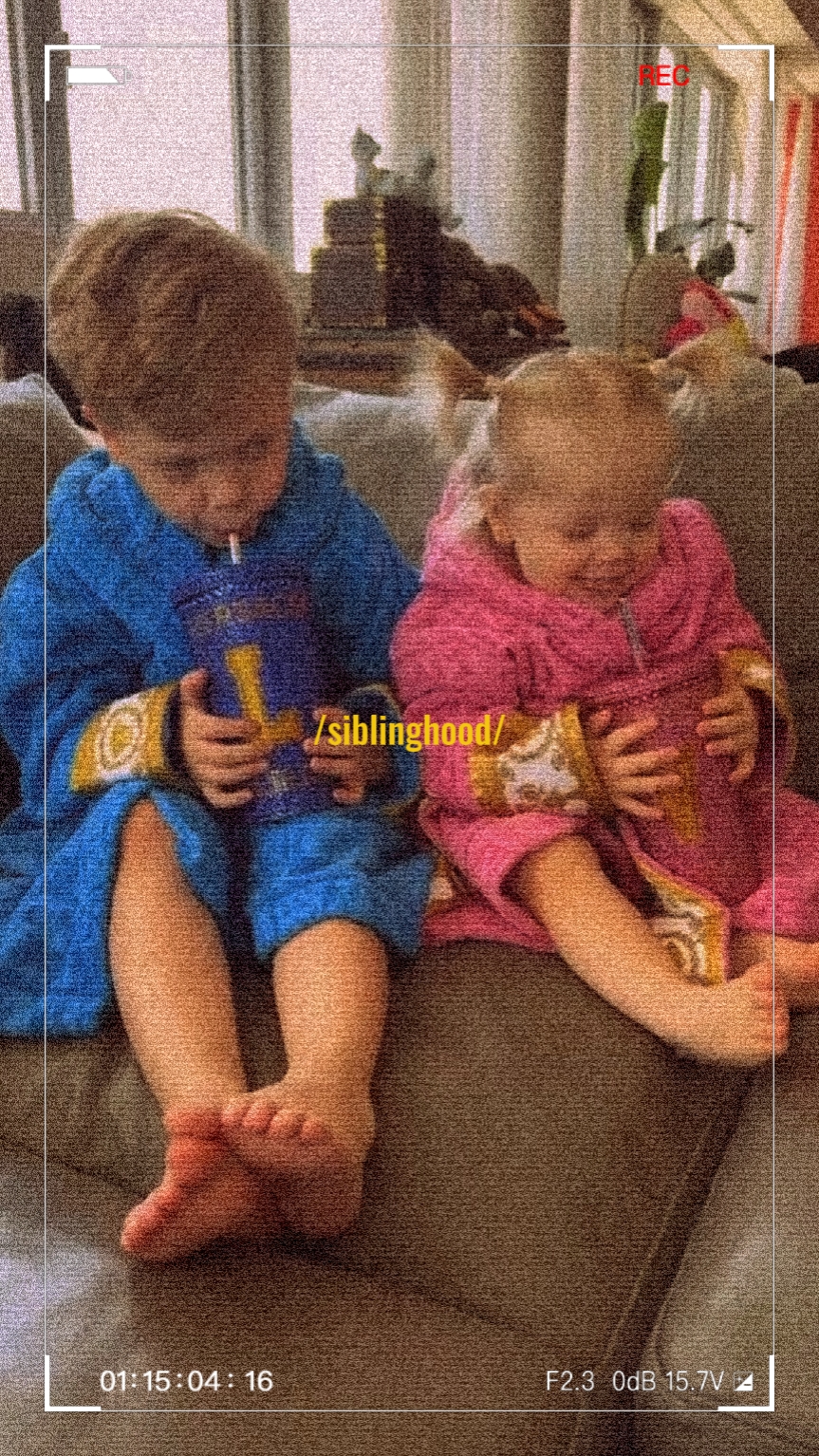 siblinghood 