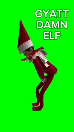 Elf got shelf 