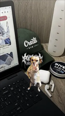 JJ SUKA CURI CURI PA