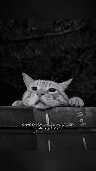 Làm quần quật cả năm