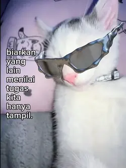 foto live kata kata