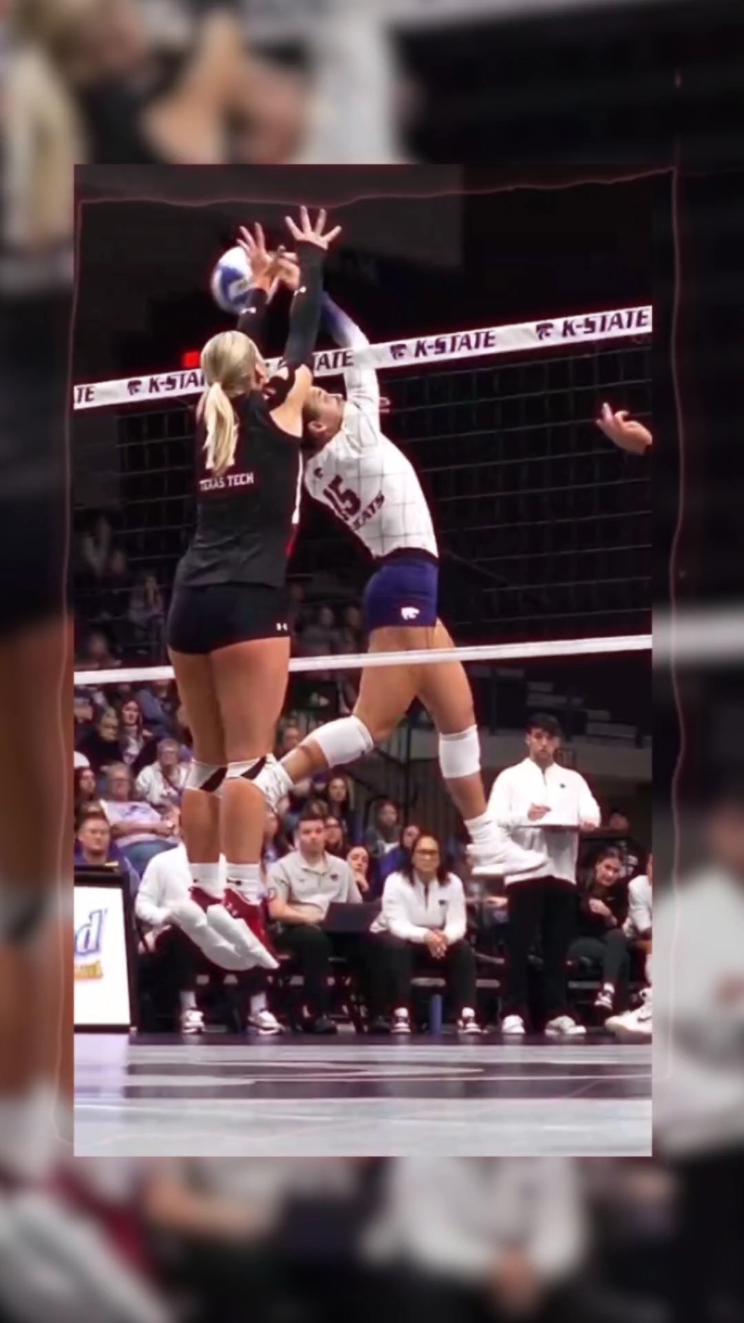 Volleyball Bliss