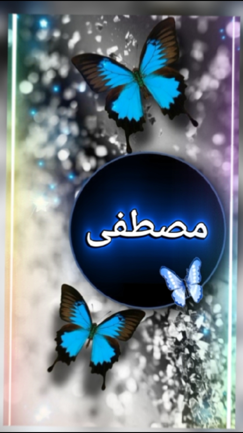 مصطفى الهيبة