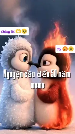 Nguyện cầu đến 50năm
