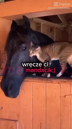 Wręczę ci MANDACIK