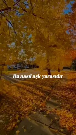 sokaktan görüntüler