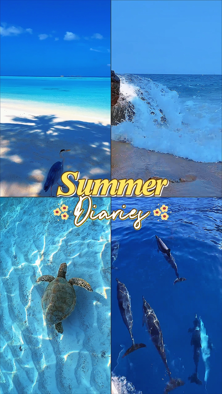 summer diaries