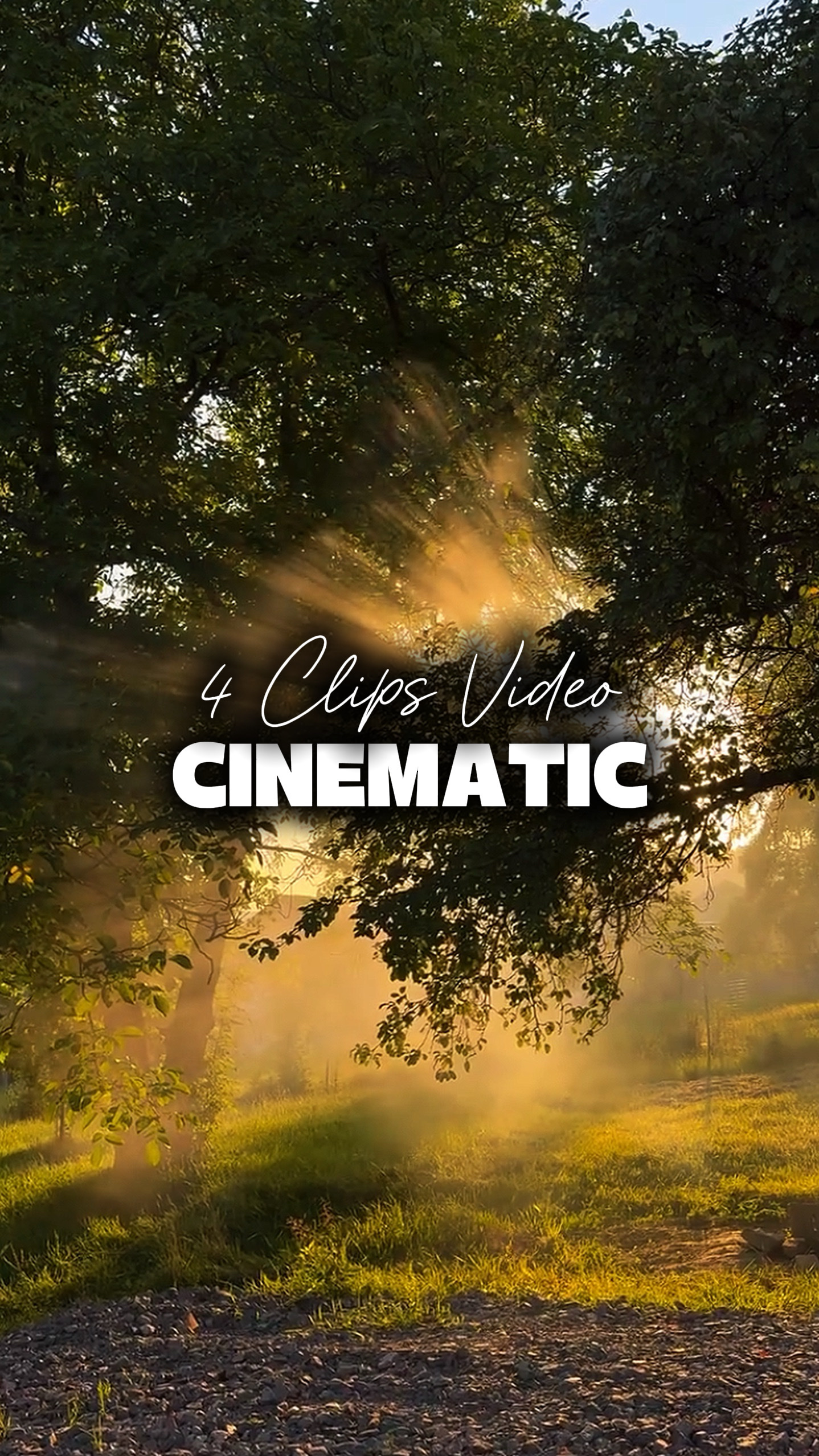 4 Videos Cinematic 