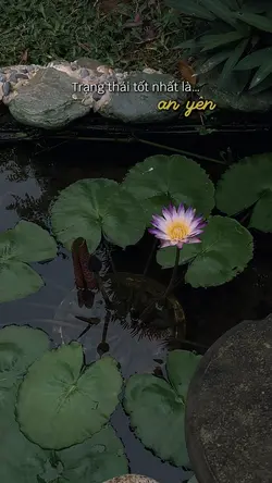 Trạng thái tốt nhất 