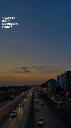 yeni şablon
