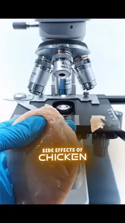 Side Effect Chicken