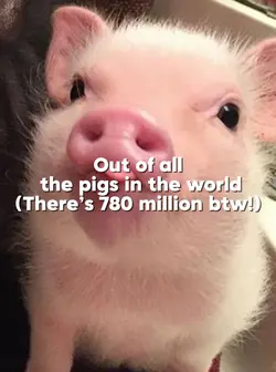 Ur my Favourite 🤍